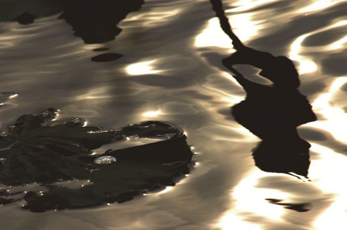 宁作清水之沉泥（摄影）二等奖 何峰（一公司）<br />