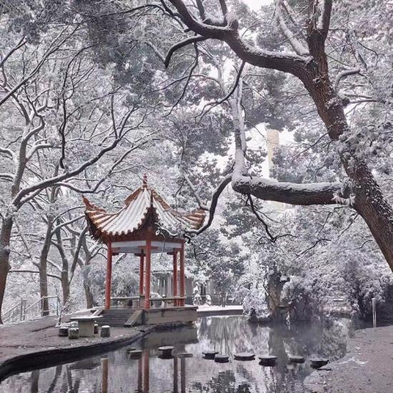 雪至长沙 二公司 周雪芳 雪至长沙 二公司 周雪芳