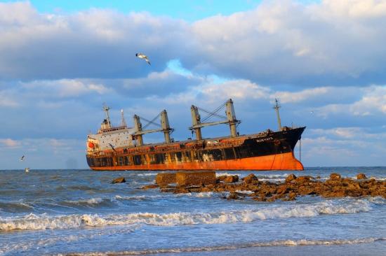 布鲁维斯号 六公司 朱媛媛